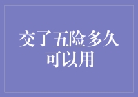 交了五险就能用吗？揭秘保险生效背后的秘密