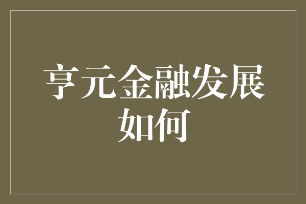 亨元金融发展如何