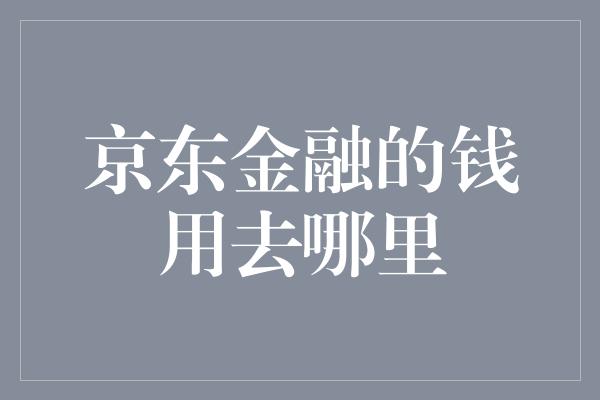 京东金融的钱用去哪里