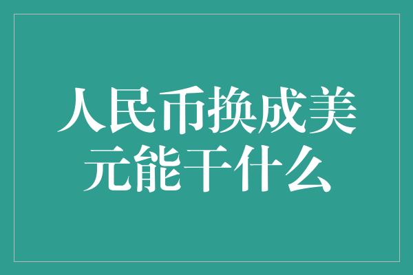 人民币换成美元能干什么