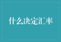 什么决定汇率？一只黑天鹅的启示