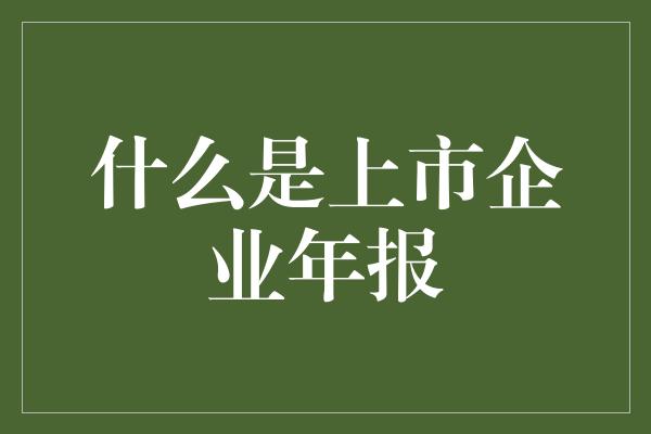 什么是上市企业年报