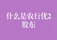 农行优2股东身份解析：驾驭金融风向的舵手