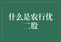 农行优二股：一种独特的金融产品与投资策略分析