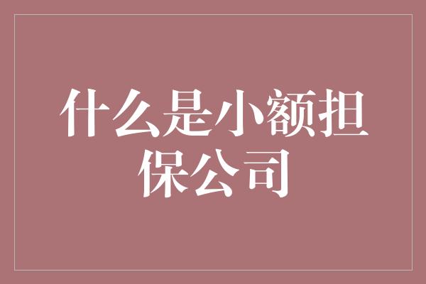 什么是小额担保公司