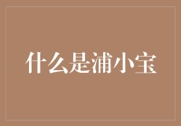 浦小宝：跨时代的金融科技创新者