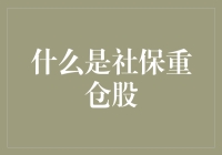 社保重仓股：一场养老资金的股市蹦迪大赛