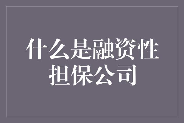 什么是融资性担保公司