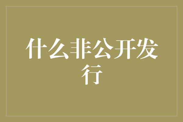 什么非公开发行