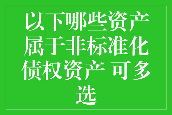 以下哪些资产属于非标准化债权资产 可多选