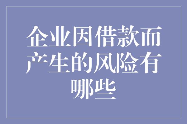 企业因借款而产生的风险有哪些