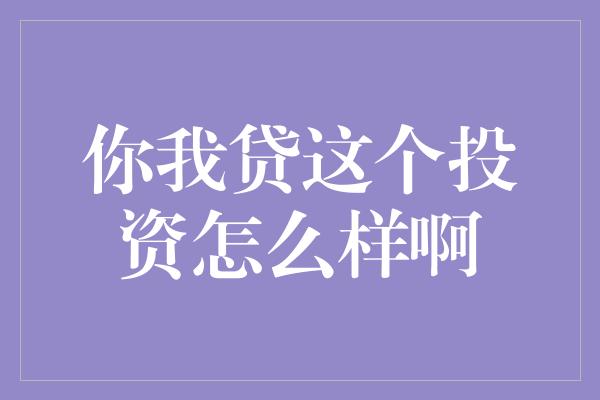 你我贷这个投资怎么样啊