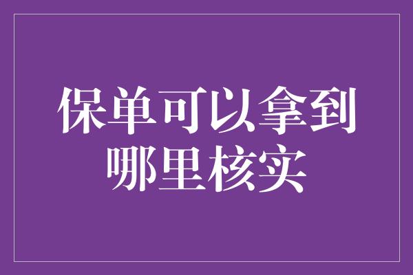 保单可以拿到哪里核实