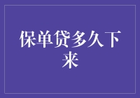 保单贷款：办理周期解析与影响因素探讨