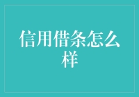 构建信任与责任：信用借条的深度解析