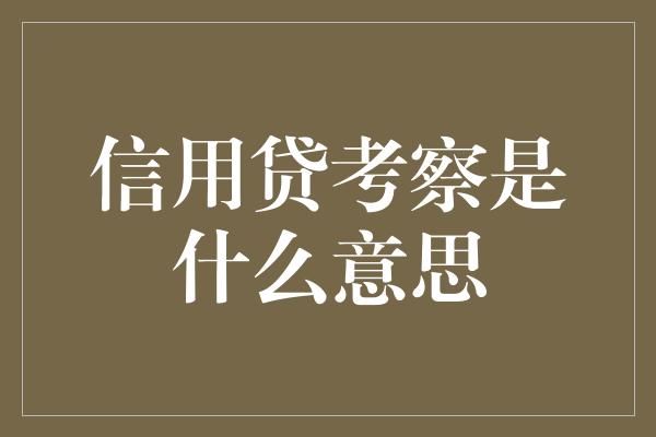 信用贷考察是什么意思