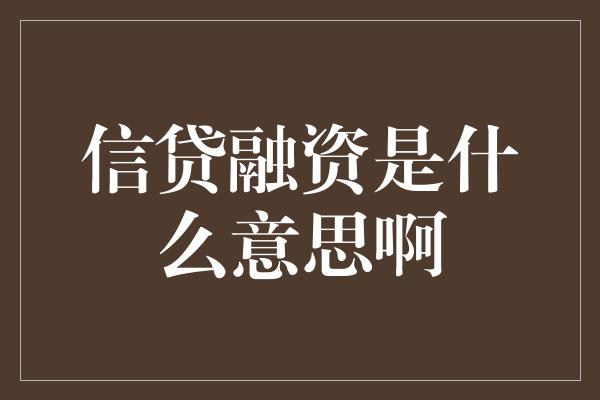 信贷融资是什么意思啊