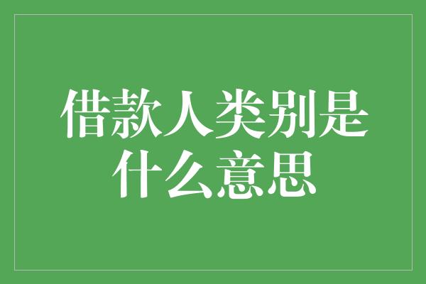 借款人类别是什么意思