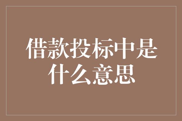 借款投标中是什么意思