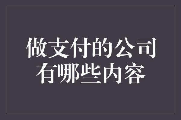 做支付的公司有哪些内容