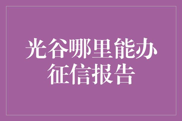 光谷哪里能办征信报告