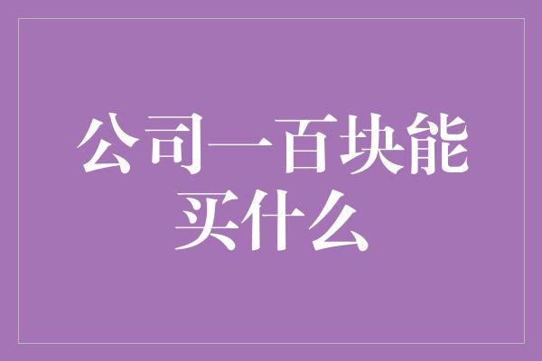 公司一百块能买什么