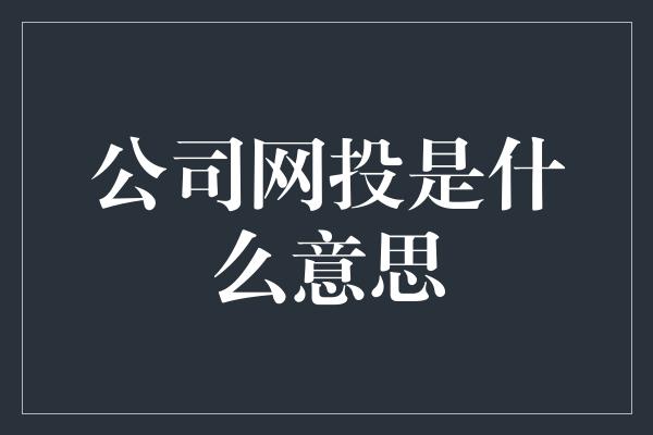 公司网投是什么意思