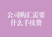 公司购汇的手续费解析及注意事项