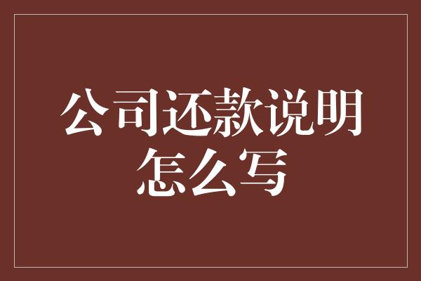 公司还款说明怎么写