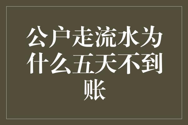 公户走流水为什么五天不到账