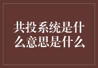 共投系统：一种新型项目合作模式的解读