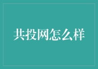 共投网：轻松上手，投资小白也能玩转的理财平台