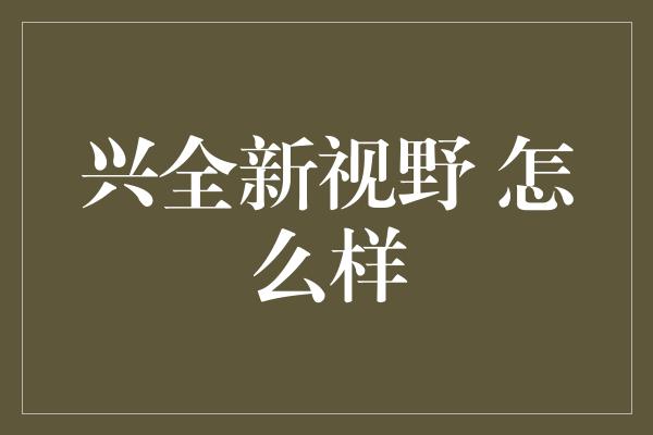 兴全新视野 怎么样