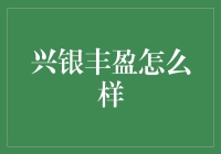 兴银丰盈投资策略分析：打造稳健财富增长的利器