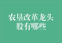 农垦改革龙头股有哪些？让我们揭秘农业板块的投资机遇！