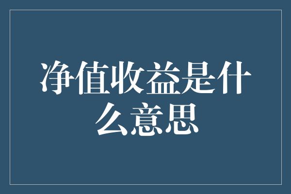 净值收益是什么意思