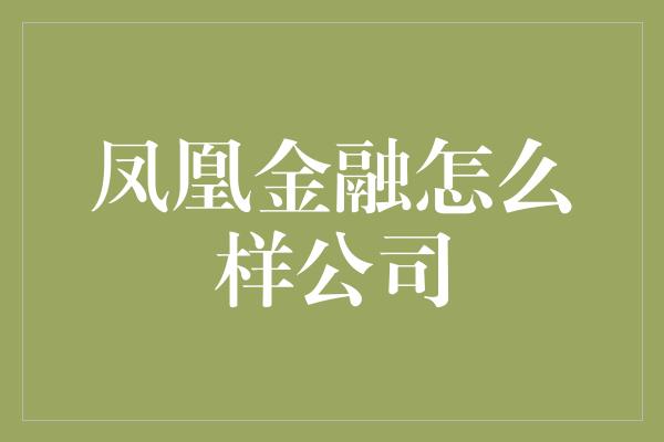 凤凰金融怎么样公司