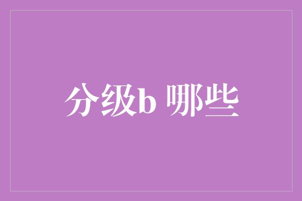 分级b 哪些