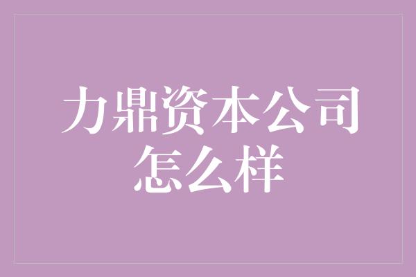 力鼎资本公司怎么样