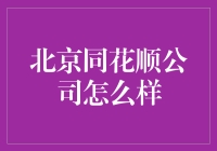 北京同花顺公司在金融科技领域的创新与挑战