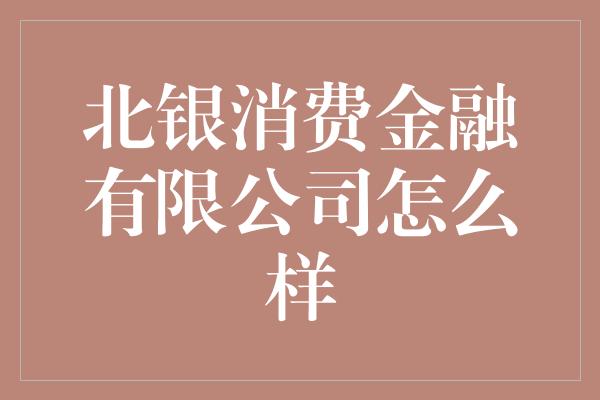 北银消费金融有限公司怎么样