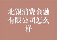 北银消费金融有限公司：消费金融行业的创新先锋