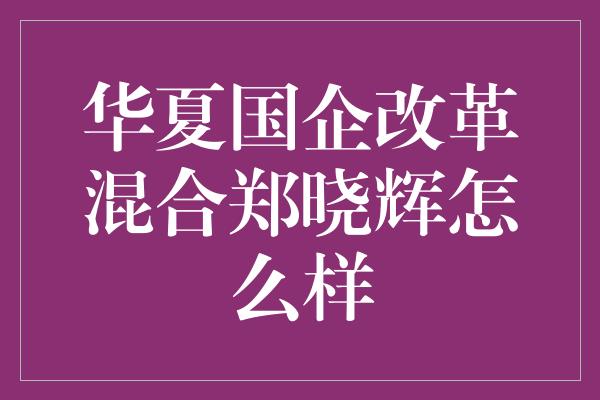 华夏国企改革混合郑晓辉怎么样