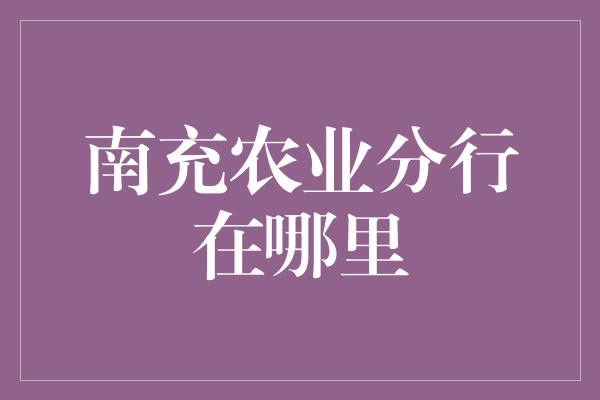 南充农业分行在哪里