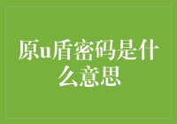 原U盾密码是什么鬼？咱们今天就来揭秘！