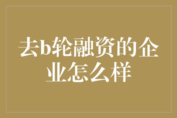 去b轮融资的企业怎么样