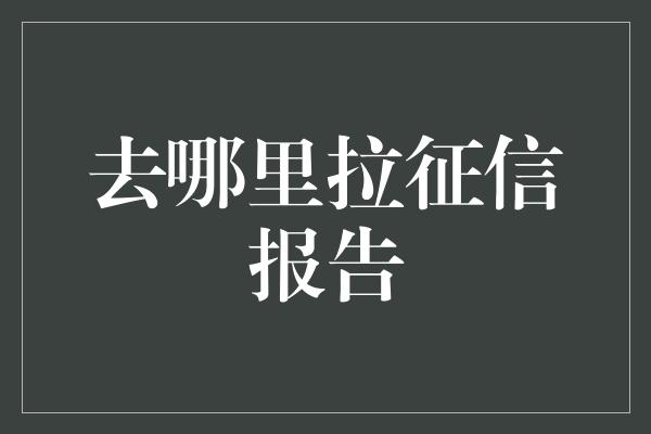 去哪里拉征信报告