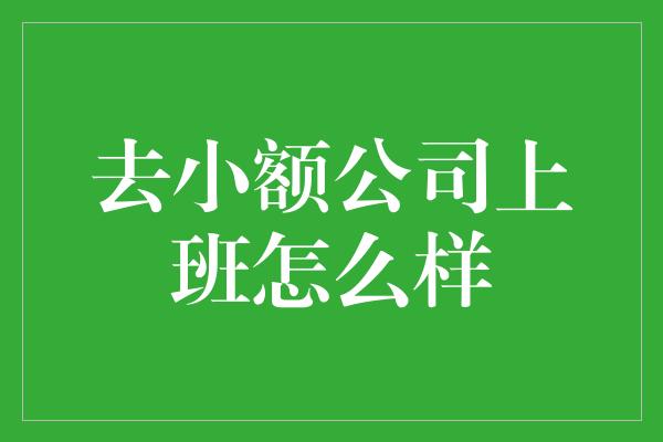 去小额公司上班怎么样