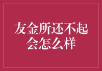 友金所逾期还款的后果：违规行为、信用记录受损与法律风险