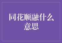 同花顺融：互联网金融的多元融合与创新